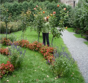 Ogród Mehoffera, czyli kwiatów i zieleni sfera.