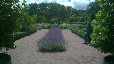Ogród szwedzki